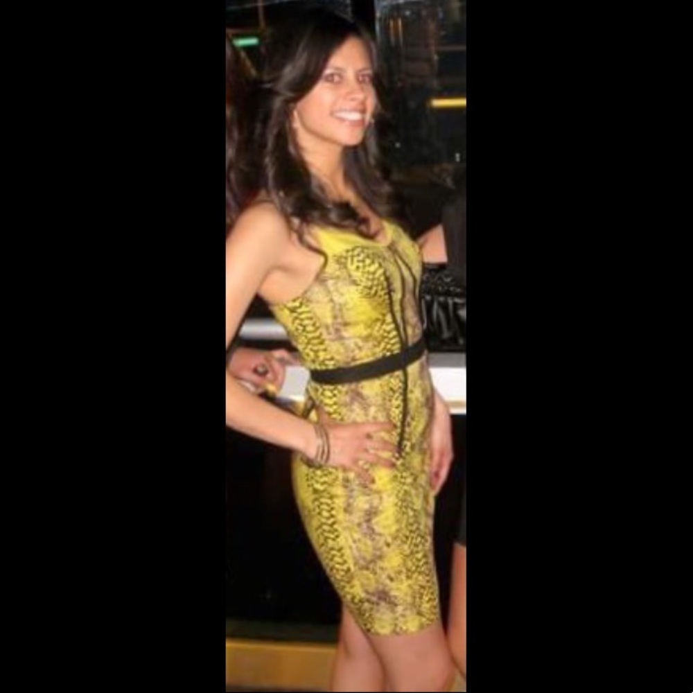 Plenty by Tracy Reese dress